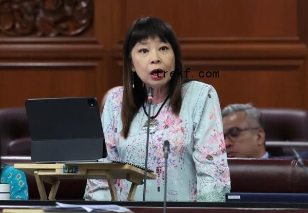 Financial institutions in the country have successfully blocked a total of RM302 million in fraudulent and suspicious transactions as of September 2024, said Deputy Finance Minister Lim Hui Ying. — Bernama pic