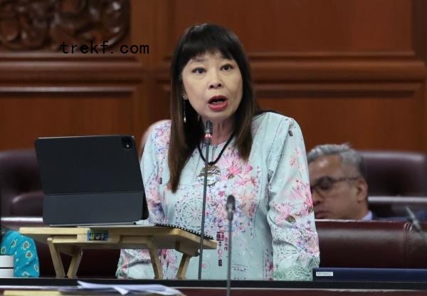 Financial institutions in the country have successfully blocked a total of RM302 million in fraudulent and suspicious transactions as of September 2024, said Deputy Finance Minister Lim Hui Ying.&nbsp;— Bernama pic